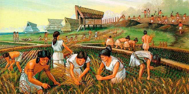 La revolución agraria del neolítico