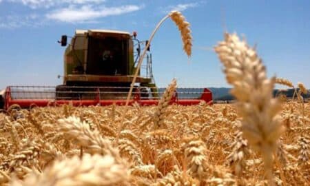 acuerdo del trigo entre Rusia y Ucrania
